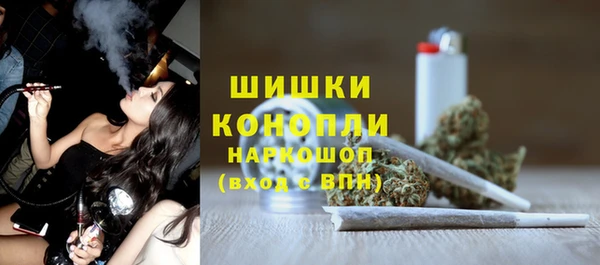 индика Новозыбков