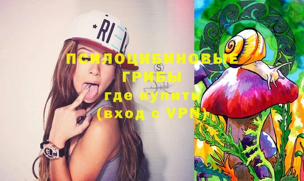 индика Новозыбков