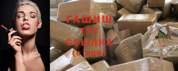 индика Новозыбков