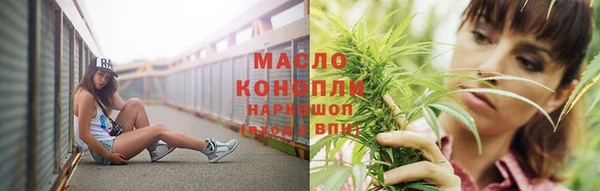 спиды Новодвинск