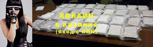 индика Новозыбков