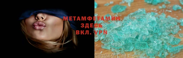 индика Новозыбков