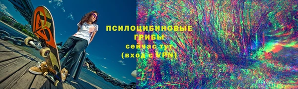 индика Новозыбков