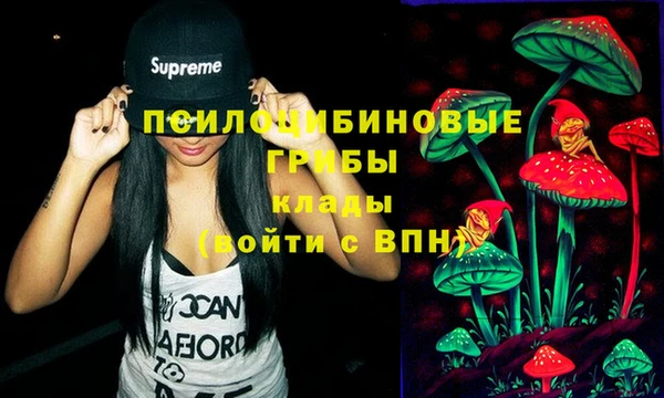 MDMA Premium VHQ Снежногорск