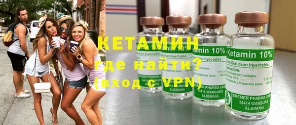 индика Новозыбков