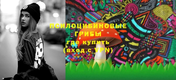 индика Новозыбков