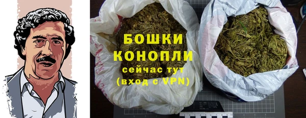 молекула духа Коряжма