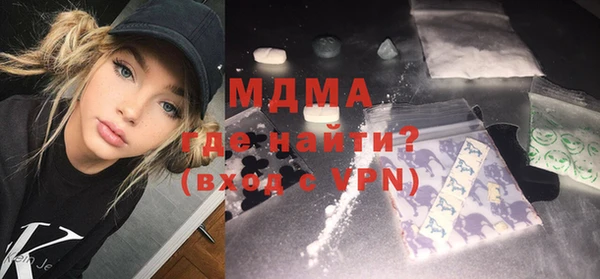 индика Новозыбков