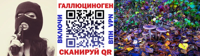 закладка  кракен как зайти  Галлюциногенные грибы Magic Shrooms  Рыбное 